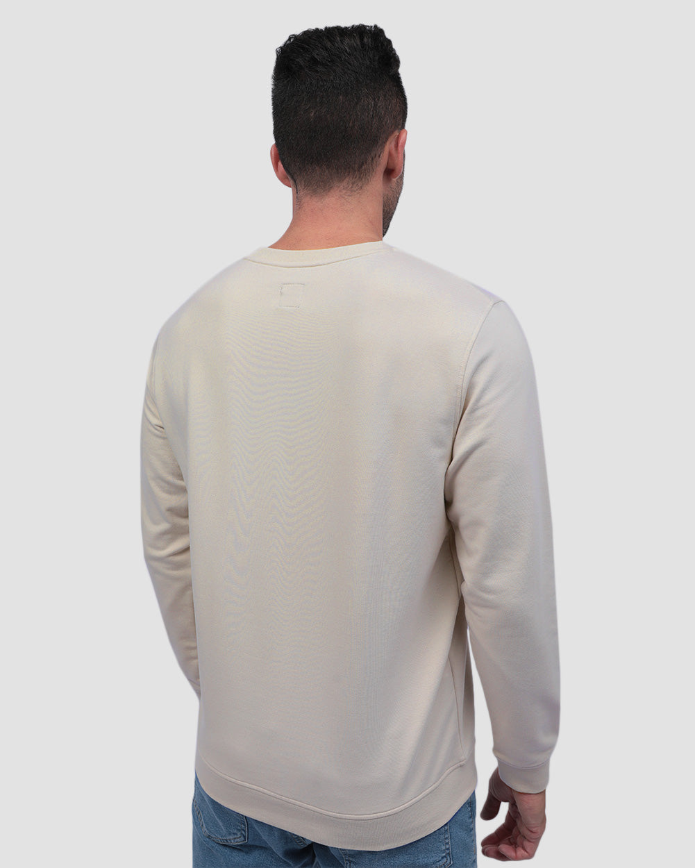 Mens Crewneck Sweatshirt Classic Fit Fleece Pullover Casual Long Sleeve Shirt