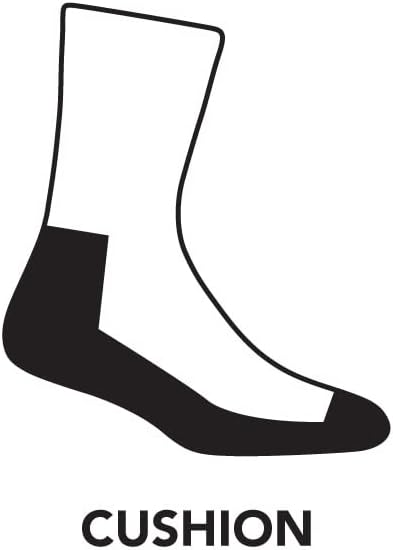 Darntough Men's Socks Micro Crew Ultra Lightweight with Cushion