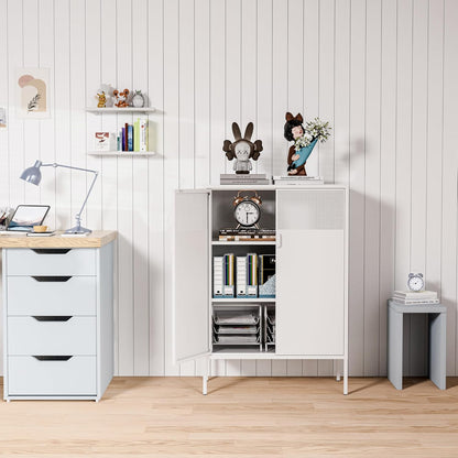 2 Door Storage Sideboard Metal Storage Cabinet with 2 Adjustable Shelf
